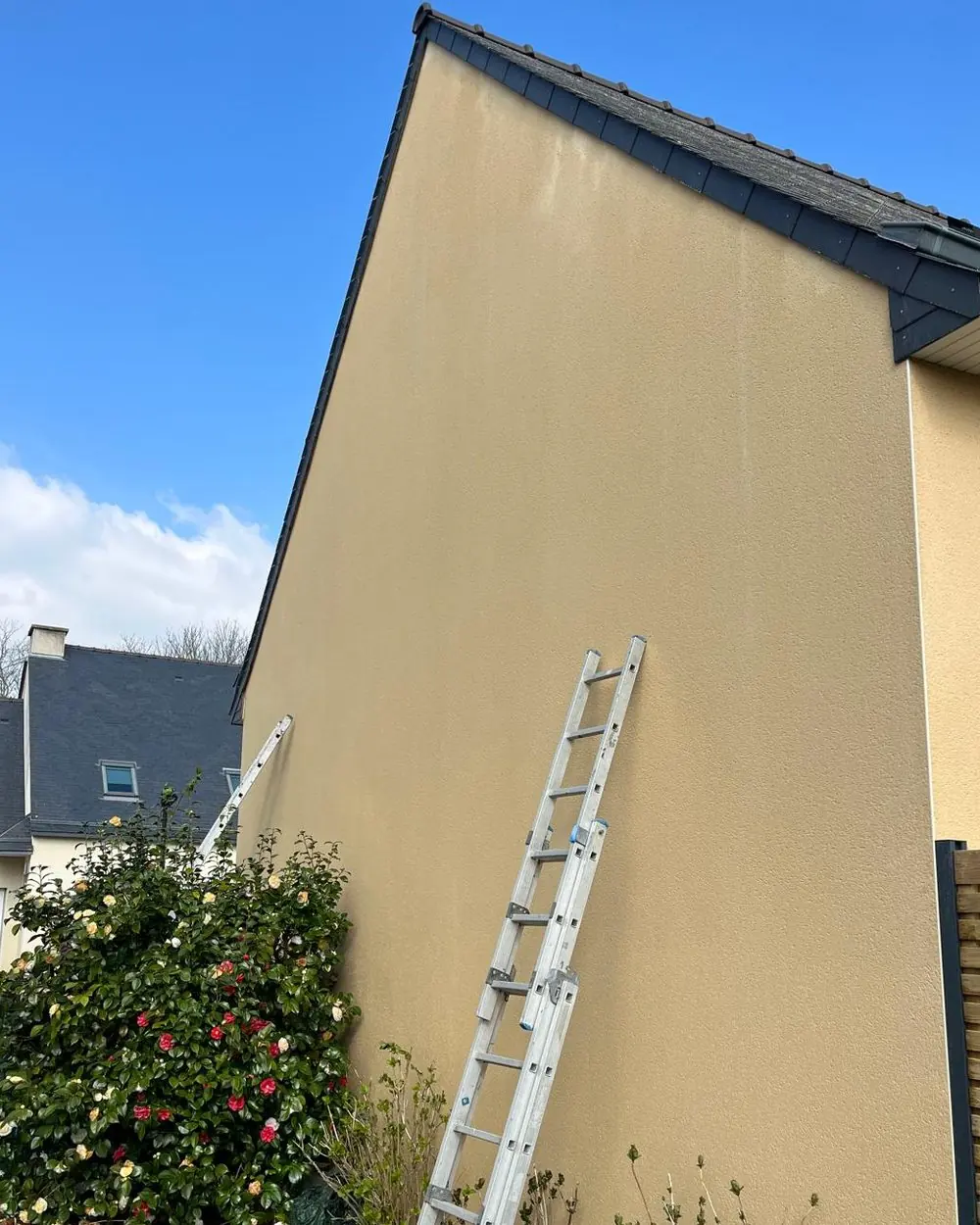 Le même pignon après nettoyage et traitement