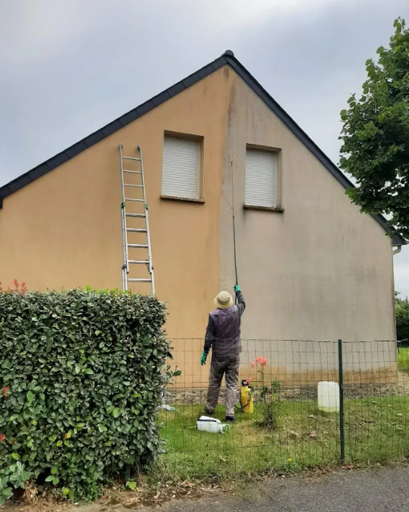Pignon en cours de nettoyage : la moitié gauche est déjà faite